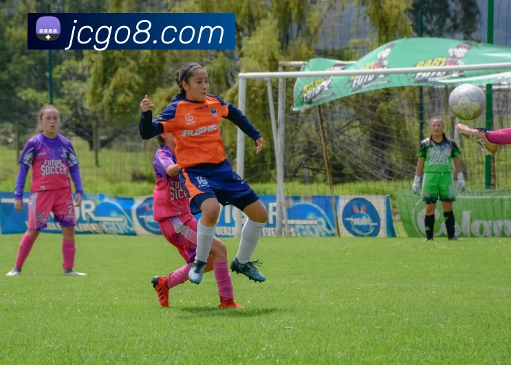 钜城娱乐城官网发展历程